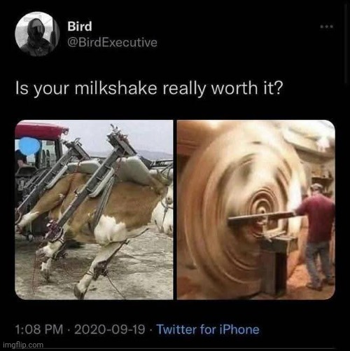 Very mooving | image tagged in memez,cowz | made w/ Imgflip meme maker
