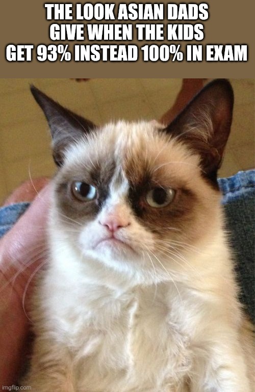 never satisfied | THE LOOK ASIAN DADS GIVE WHEN THE KIDS GET 93% INSTEAD 100% IN EXAM | image tagged in memes,grumpy cat,asian dad | made w/ Imgflip meme maker