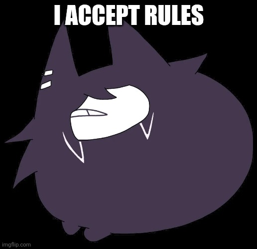 miss circle | I ACCEPT RULES | image tagged in miss circle | made w/ Imgflip meme maker