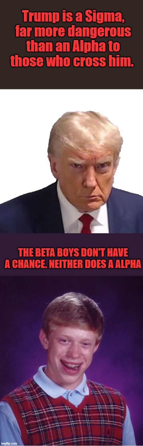 Trump is a Sigma, far more dangerous than an Alpha to those who cross him. THE BETA BOYS DON'T HAVE A CHANCE. NEITHER DOES A ALPHA | image tagged in 45 with a vengeance,memes,bad luck brian | made w/ Imgflip meme maker