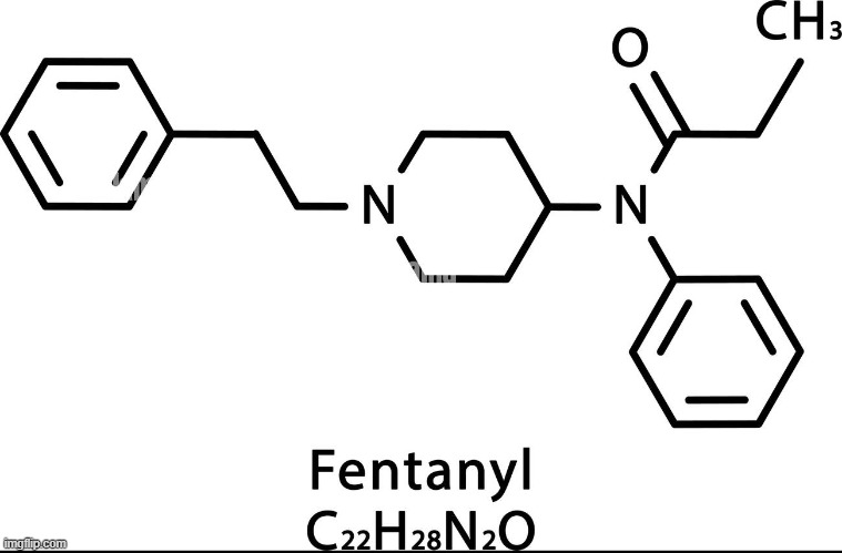Fentanyl 4 u | image tagged in fentanyl 4 u | made w/ Imgflip meme maker