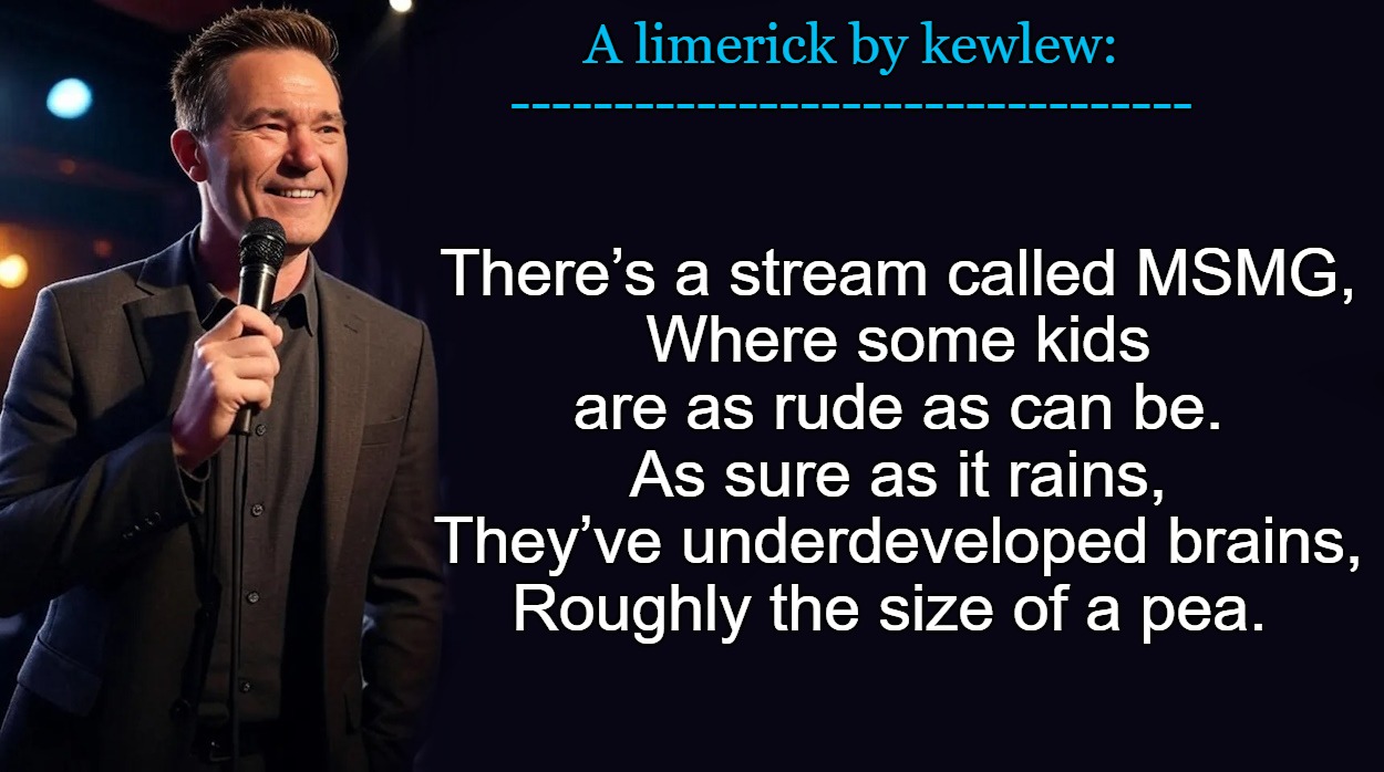 A limerick by kewlew:
---------------------------------; There’s a stream called MSMG,
Where some kids are as rude as can be.
As sure as it rains,
They’ve underdeveloped brains,
Roughly the size of a pea. | made w/ Imgflip meme maker