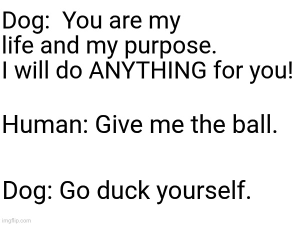 Dogs | Dog:  You are my life and my purpose.
I will do ANYTHING for you! Human: Give me the ball. Dog: Go duck yourself. | image tagged in dogs,all dogs go to heaven,funny,funny dogs,memes,still a better love story than twilight | made w/ Imgflip meme maker