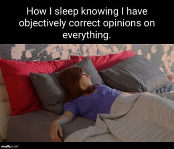 Zzz | image tagged in memez | made w/ Imgflip meme maker