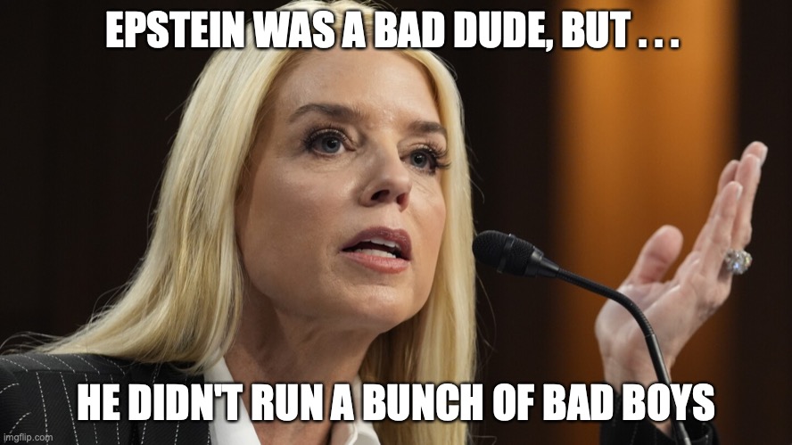 List? What list? | EPSTEIN WAS A BAD DUDE, BUT . . . HE DIDN'T RUN A BUNCH OF BAD BOYS | image tagged in pam bondi dog ate my homework | made w/ Imgflip meme maker