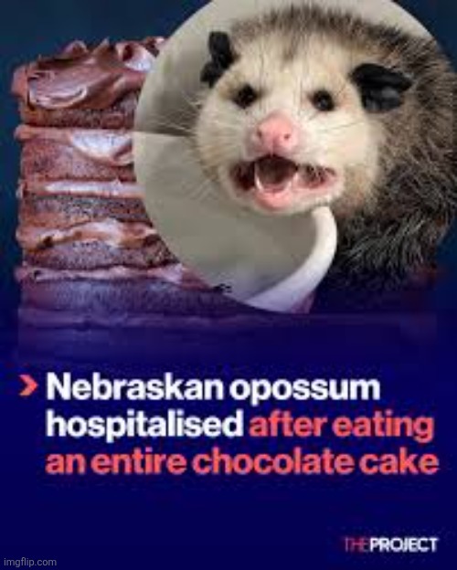 True story | image tagged in pushover | made w/ Imgflip meme maker
