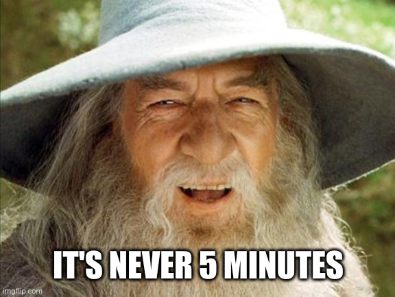 A Wizard Is Never Late | IT'S NEVER 5 MINUTES | image tagged in a wizard is never late | made w/ Imgflip meme maker