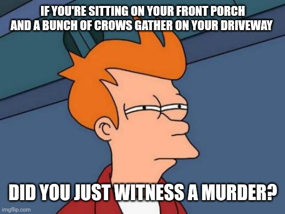 Witness Protection | IF YOU'RE SITTING ON YOUR FRONT PORCH AND A BUNCH OF CROWS GATHER ON YOUR DRIVEWAY; DID YOU JUST WITNESS A MURDER? | image tagged in memes,futurama fry | made w/ Imgflip meme maker