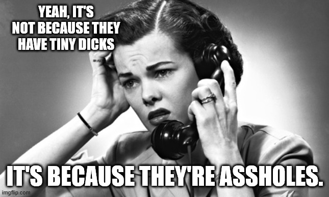 woman on phone | YEAH, IT'S NOT BECAUSE THEY HAVE TINY DICKS IT'S BECAUSE THEY'RE ASSHOLES. | image tagged in woman on phone | made w/ Imgflip meme maker