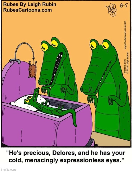 Rubes | image tagged in comics,rubes,alligators | made w/ Imgflip meme maker