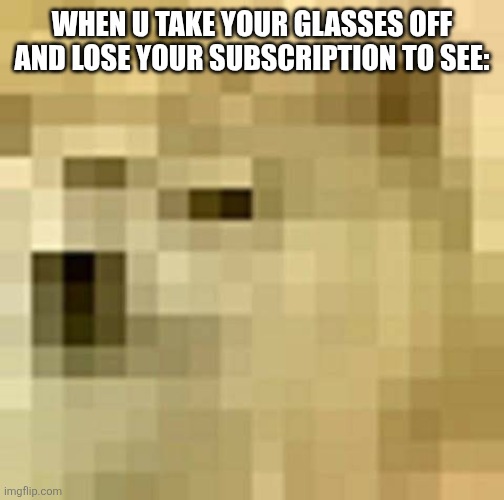 Yurrr | WHEN U TAKE YOUR GLASSES OFF AND LOSE YOUR SUBSCRIPTION TO SEE: | image tagged in blurry doge | made w/ Imgflip meme maker
