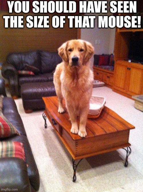 You Should Have Seen The Size Of That Mouse! | YOU SHOULD HAVE SEEN THE SIZE OF THAT MOUSE! | image tagged in chrisjoines1 | made w/ Imgflip meme maker