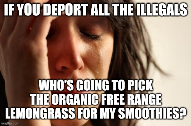 First World Problems Meme | IF YOU DEPORT ALL THE ILLEGALS WHO'S GOING TO PICK THE ORGANIC FREE RANGE LEMONGRASS FOR MY SMOOTHIES? | image tagged in memes,first world problems | made w/ Imgflip meme maker