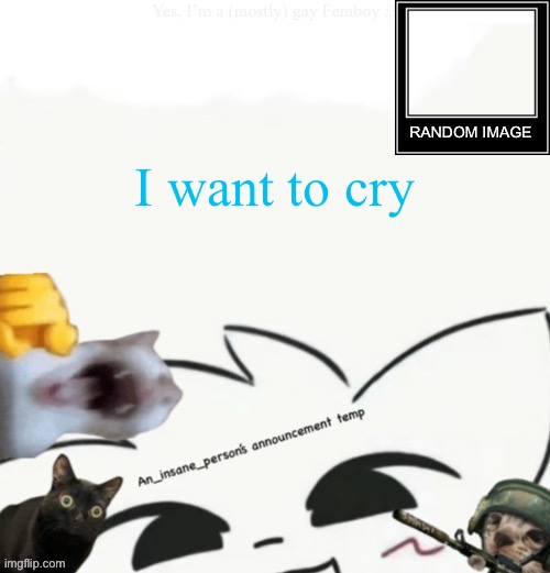 Idk why I’m just like breaking rn 3: | I want to cry | image tagged in my lil announcement | made w/ Imgflip meme maker