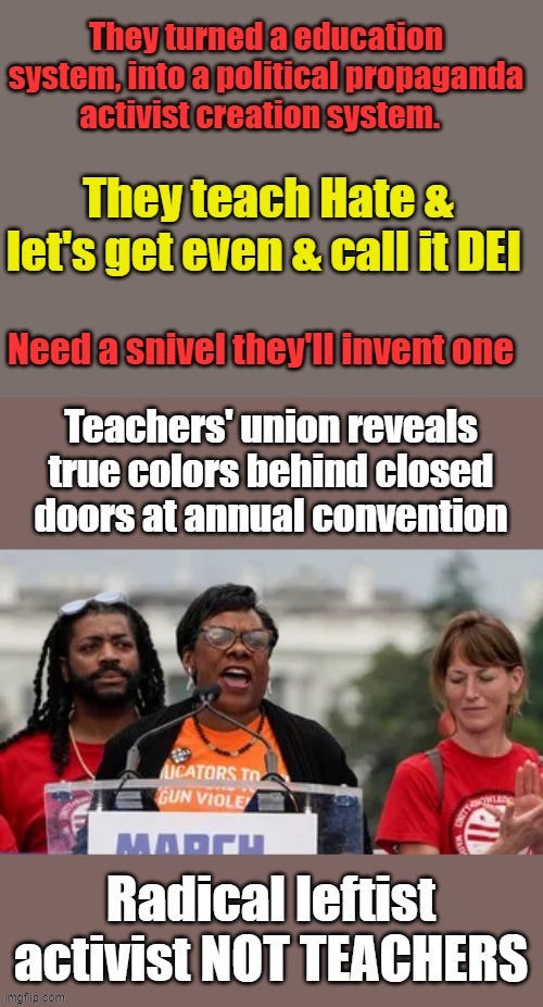 Your tax $ create the haters & rioters. If they had any courage they would tell the truth, they must not believe in their cause | They turned a education system, into a political propaganda activist creation system. They teach Hate & let's get even & call it DEI; Need a snivel they'll invent one | made w/ Imgflip meme maker
