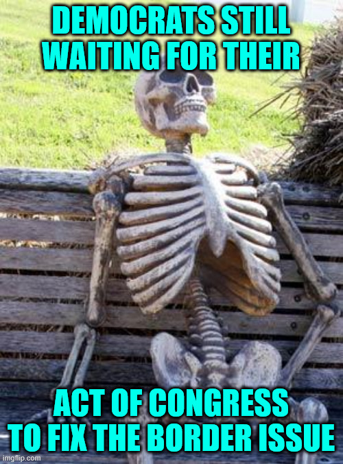 Waiting Skeleton Meme | DEMOCRATS STILL WAITING FOR THEIR ACT OF CONGRESS TO FIX THE BORDER ISSUE | image tagged in memes,waiting skeleton | made w/ Imgflip meme maker