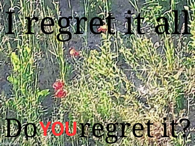 Do YOU regret it all? | I regret it all; Do      regret it? YOU | image tagged in regret | made w/ Imgflip meme maker
