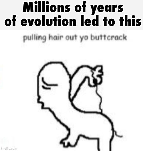 Pulling hair out yo buttcrack | Millions of years of evolution led to this | image tagged in pulling hair out yo buttcrack | made w/ Imgflip meme maker