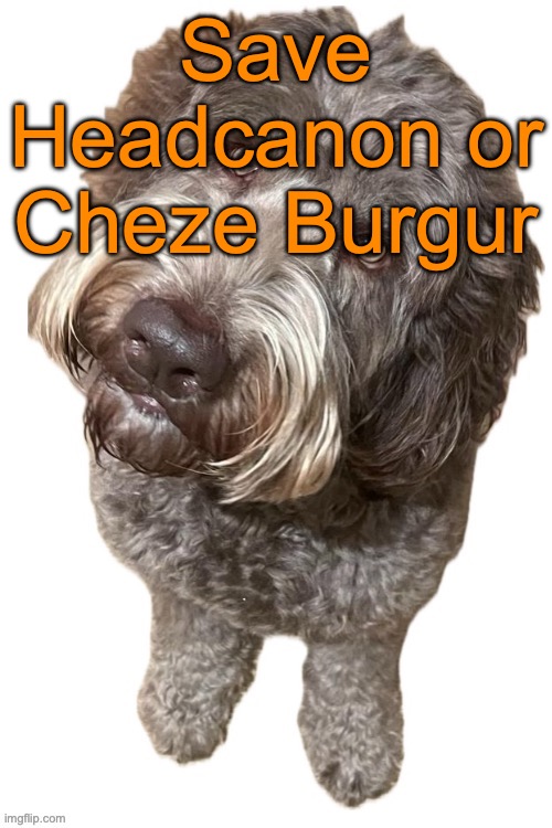 Norther's dog | Save Headcanon or Cheze Burgur | image tagged in norther's dog,voting game s11 | made w/ Imgflip meme maker