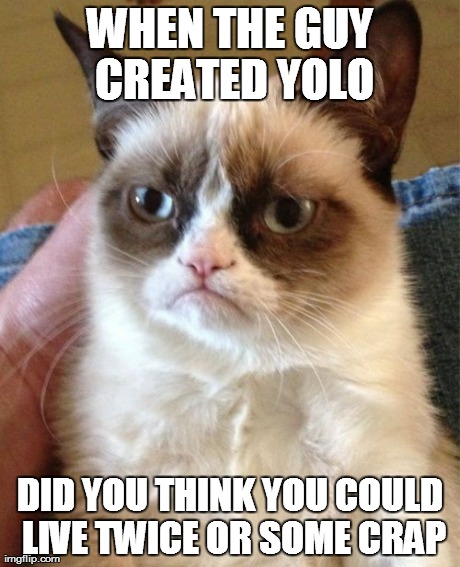 Grumpy Cat Meme | WHEN THE GUY CREATED YOLO DID YOU THINK YOU COULD LIVE TWICE OR SOME CRAP | image tagged in memes,grumpy cat | made w/ Imgflip meme maker