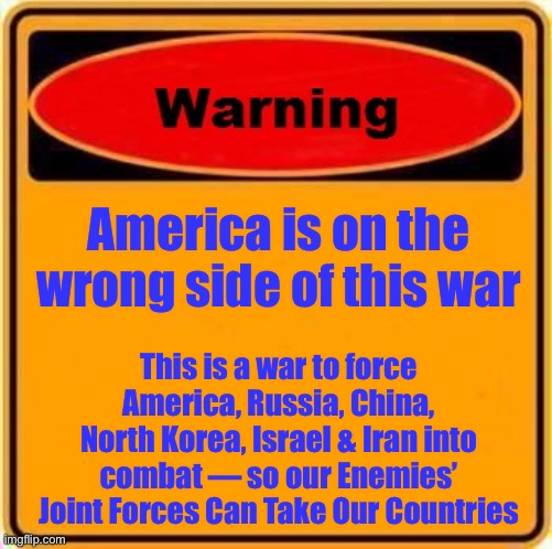 Or As Much of them as they Can. | America is on the wrong side of this war; This is a war to force America, Russia, China, North Korea, Israel & Iran into combat — so our Enemies’ Joint Forces Can Take Our Countries | image tagged in memes,warning sign | made w/ Imgflip meme maker