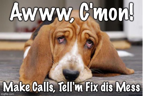 Basset Make Calls | Awww, C'mon! Make Calls, Tell'm Fix dis Mess | image tagged in aww cmon | made w/ Imgflip meme maker