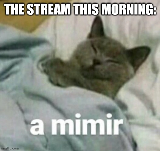 Sans in topic | THE STREAM THIS MORNING: | image tagged in a mimir cat | made w/ Imgflip meme maker