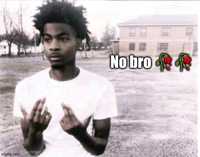 Sybau free | No bro ?? | image tagged in sybau free | made w/ Imgflip meme maker