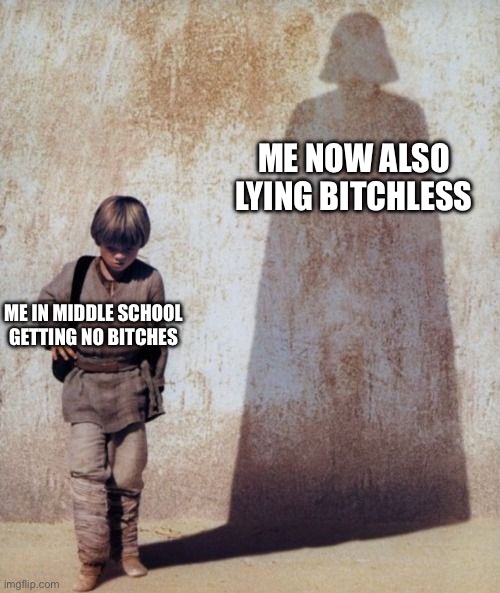 Anakin Shadow | ME NOW ALSO LYING BITCHLESS; ME IN MIDDLE SCHOOL GETTING NO BITCHES | image tagged in anakin shadow | made w/ Imgflip meme maker