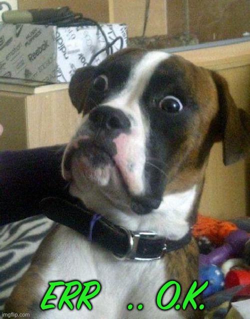 Surprised Dog | ERR   .. O.K. | image tagged in surprised dog | made w/ Imgflip meme maker