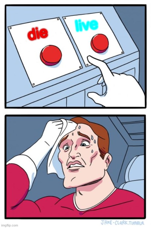 uhhhhhhhhhhhhhhhhhhh | live; die | image tagged in memes,two buttons | made w/ Imgflip meme maker