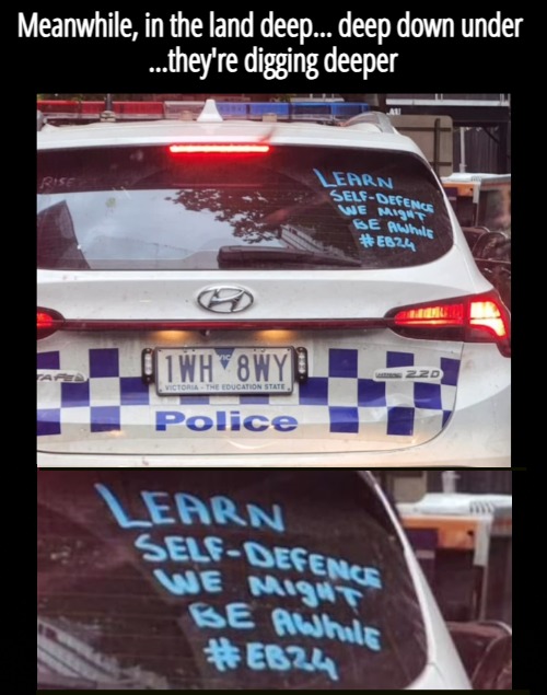 Meanwhile, in the land deep... deep down under 
...they're digging deeper | image tagged in australia,politics | made w/ Imgflip meme maker