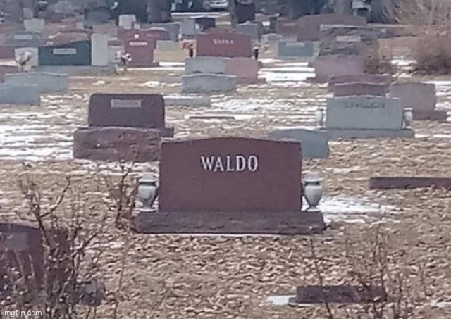 I had good new and I had bad news | image tagged in waldo,where waldo | made w/ Imgflip meme maker