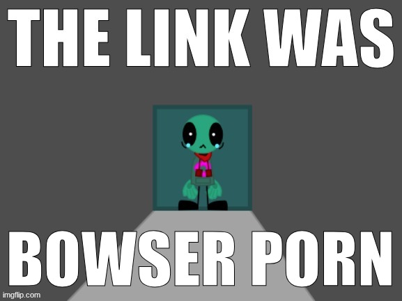 The link was (Fersquall Ver.) | BOWSER PORN | image tagged in the link was fersquall ver | made w/ Imgflip meme maker