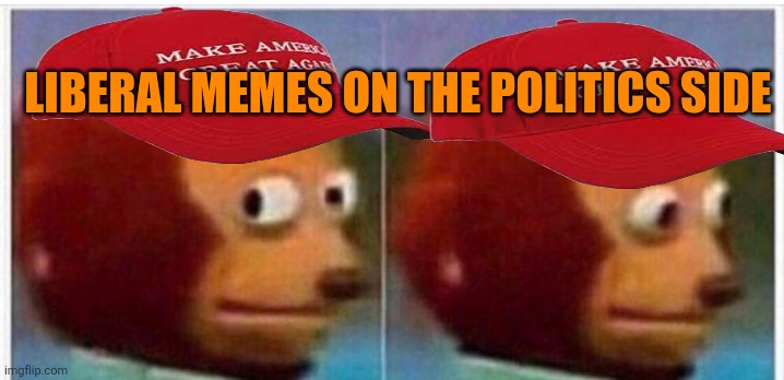 I didnt see anything | LIBERAL MEMES ON THE POLITICS SIDE | image tagged in i didnt see anything | made w/ Imgflip meme maker