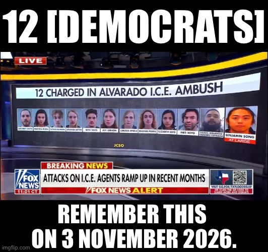 3 November 2026. | 12 [DEMOCRATS]; REMEMBER THIS 
ON 3 NOVEMBER 2026. | image tagged in democrat party,democrats,criminals,communists,election | made w/ Imgflip meme maker