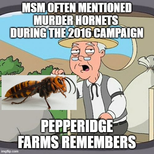 Pepperidge Farm Remembers Meme | MSM OFTEN MENTIONED
MURDER HORNETS 
DURING THE 2016 CAMPAIGN PEPPERIDGE FARMS REMEMBERS | image tagged in memes,pepperidge farm remembers | made w/ Imgflip meme maker