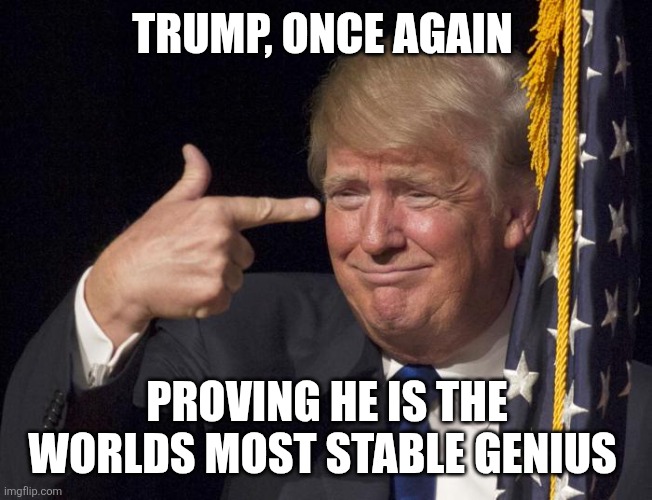 Stable Genius | TRUMP, ONCE AGAIN PROVING HE IS THE WORLDS MOST STABLE GENIUS | image tagged in stable genius | made w/ Imgflip meme maker
