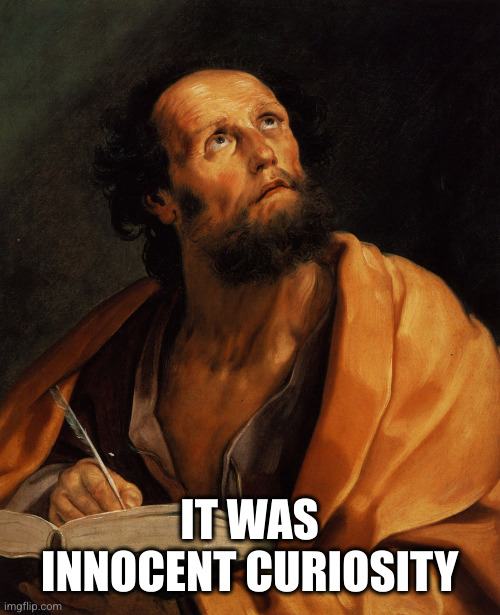 Saint | IT WAS INNOCENT CURIOSITY | image tagged in saint | made w/ Imgflip meme maker
