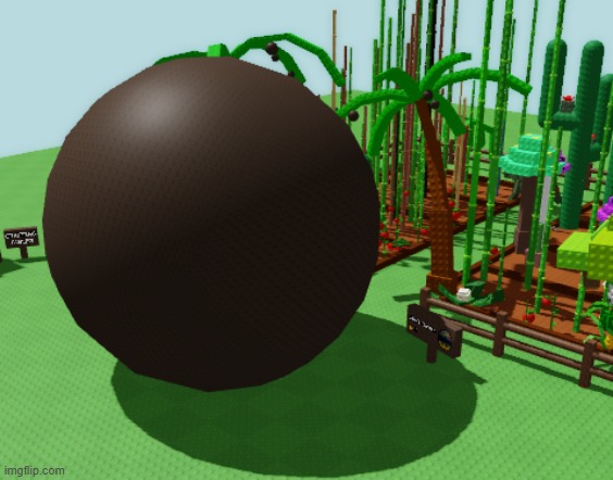 169 KG COCONUT | made w/ Imgflip meme maker