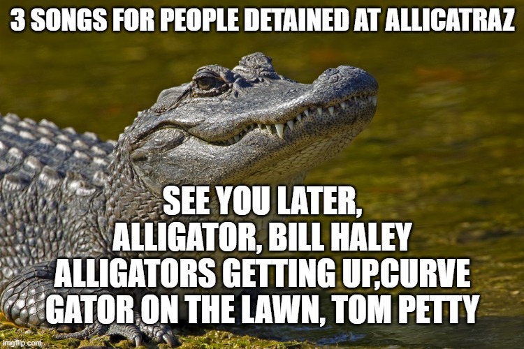 Aligatorlolhoe | 3 SONGS FOR PEOPLE DETAINED AT ALLICATRAZ; SEE YOU LATER, ALLIGATOR, BILL HALEY
ALLIGATORS GETTING UP,CURVE
GATOR ON THE LAWN, TOM PETTY | image tagged in aligatorlolhoe | made w/ Imgflip meme maker