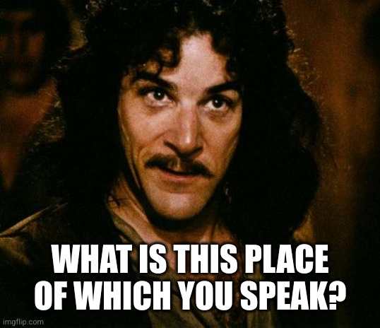 Inigo Montoya Meme | WHAT IS THIS PLACE OF WHICH YOU SPEAK? | image tagged in memes,inigo montoya | made w/ Imgflip meme maker