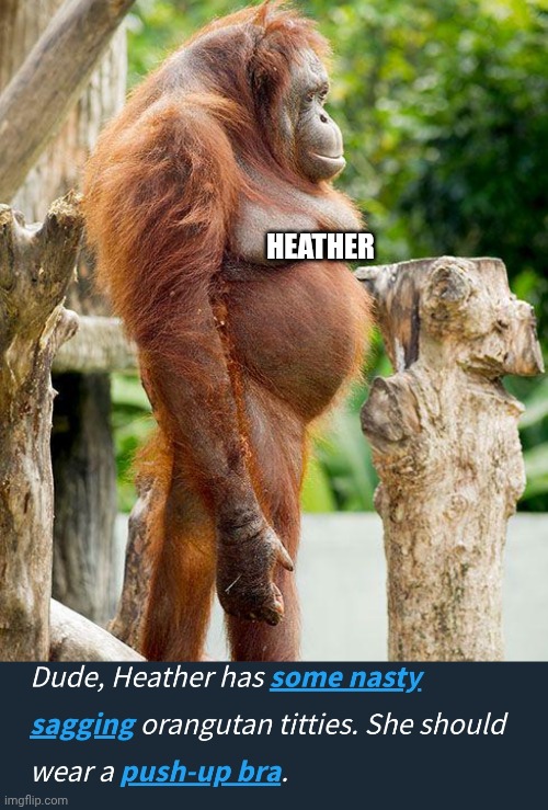 My name is Heather | HEATHER | image tagged in boobs,big boobs,hairy,breasts | made w/ Imgflip meme maker