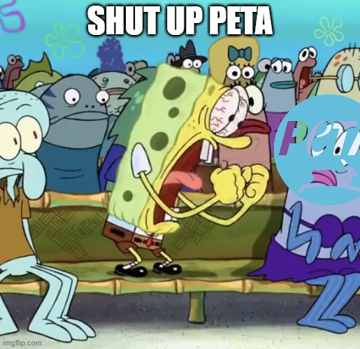 Spongebob Yelling | SHUT UP PETA | image tagged in spongebob yelling,peta | made w/ Imgflip meme maker