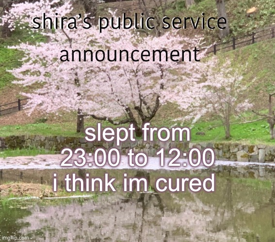shira’s PSA | slept from 23:00 to 12:00 i think im cured | image tagged in shira s psa | made w/ Imgflip meme maker