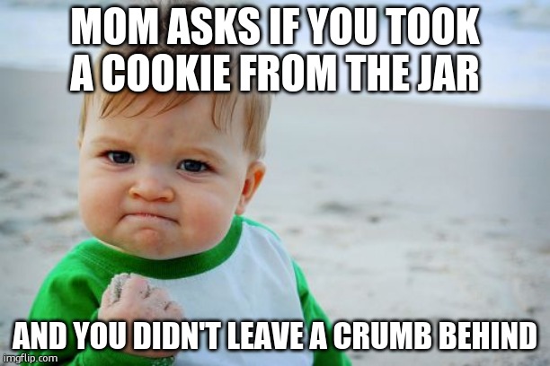 Success Kid Original | MOM ASKS IF YOU TOOK A COOKIE FROM THE JAR; AND YOU DIDN'T LEAVE A CRUMB BEHIND | image tagged in memes,success kid original | made w/ Imgflip meme maker