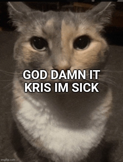 cat dead stare | GOD DAMN IT KRIS IM SICK | image tagged in cat dead stare | made w/ Imgflip meme maker