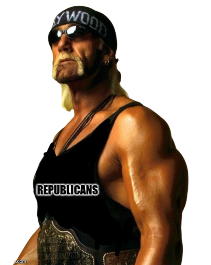 High Quality Hollywood Hulk Hogan NWO Republican Blank Meme Template