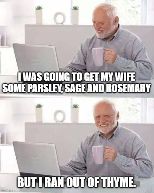 Hide the Pain Harold Meme | I WAS GOING TO GET MY WIFE SOME PARSLEY, SAGE AND ROSEMARY BUT I RAN OUT OF THYME. | image tagged in memes,hide the pain harold | made w/ Imgflip meme maker