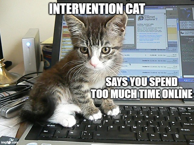 Cat on Keyboard | INTERVENTION CAT SAYS YOU SPEND TOO MUCH TIME ONLINE | image tagged in cat on keyboard | made w/ Imgflip meme maker